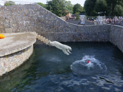 Фото День рождения зоопарка Нам 160 лет!