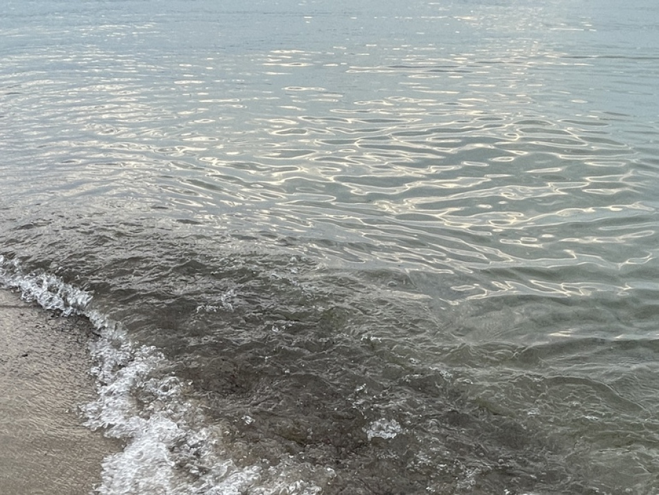 Беременная супруга Данило Галлинари пострадала от нападения акулы на пляже в Пуэрто-Рико