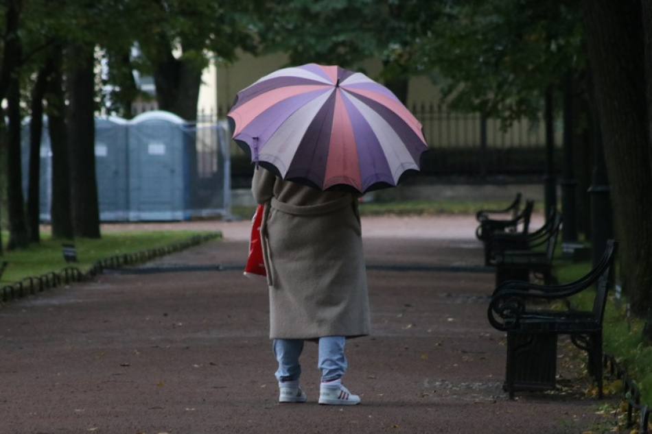 МЧС предупреждает о сильных ливнях и шквалистом ветре в Петербурге 