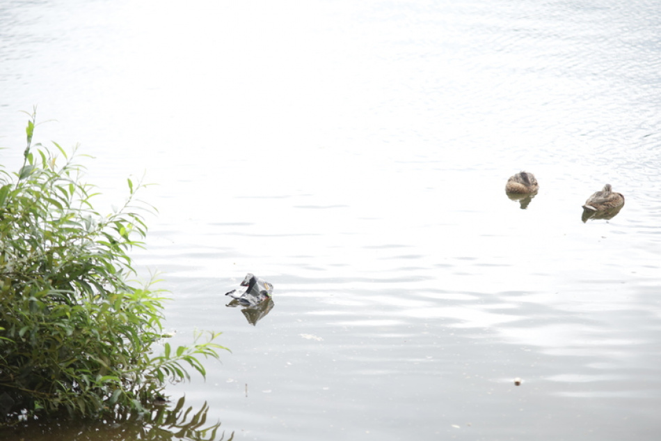 В Волховском районе завершены поиски мужчины, пропавшего на реке Паша