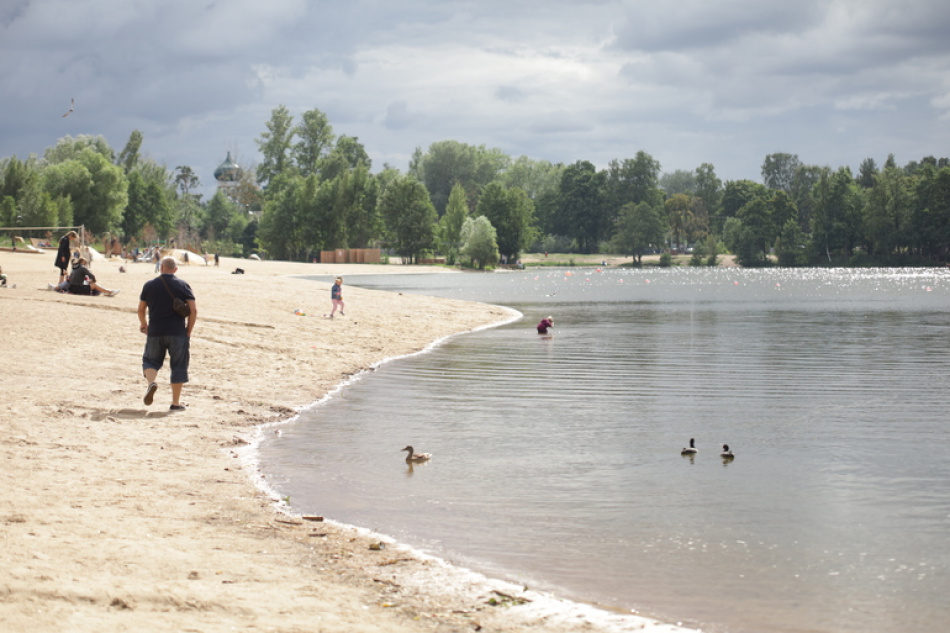 В Лужском районе Ленобласти найдено тело неизвестного в реке Луга