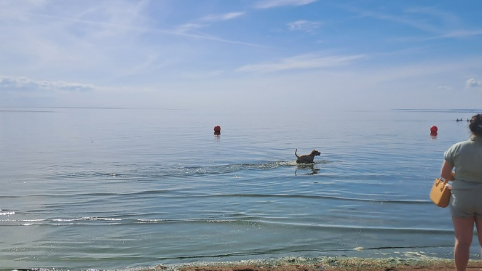 Спасатели Ленобласти за неделю вытащили из воды шестерых погибших