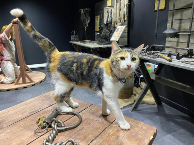 Фото Art_attractions