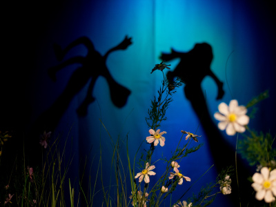 Фото Спектакль Фрог и Тод