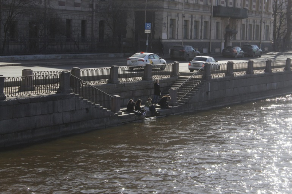 Спасенный из набережной Фонтанки кот борется за здоровье после недели в заточении