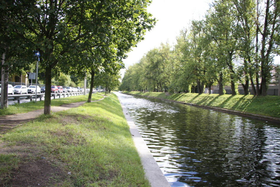 В Петербурге и Ленобласти за неделю зарегистрировали более 580 обращений по укусам клещей