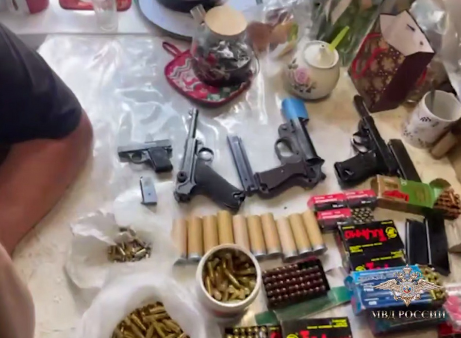 В Ленинградской области обнаружили крупный арсенал оружия и наркотиков на даче