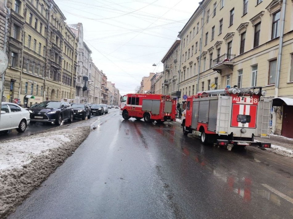 В Красносельском районе Петербурга спасатели МЧС почти три часа тушили крупный пожар на складе древесных отходов