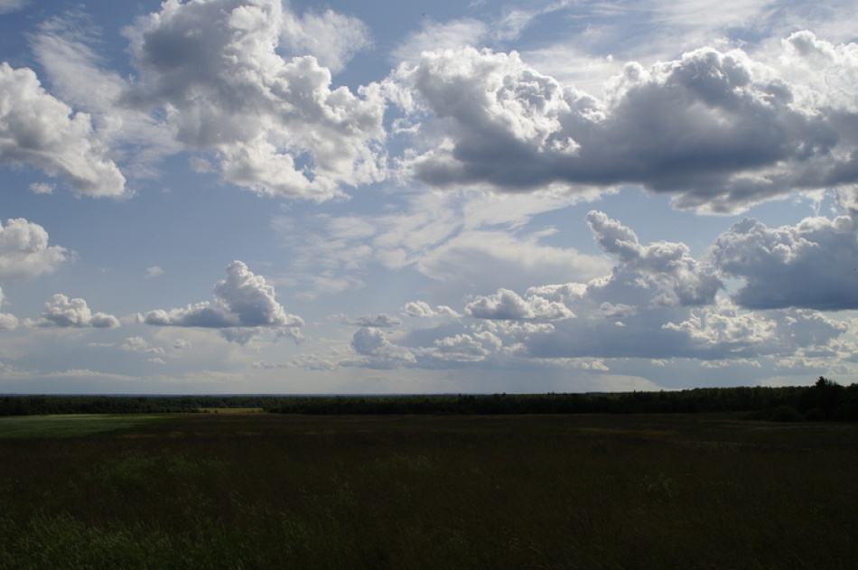 В Ленобласти завершился 12-й чемпионат России по пахоте