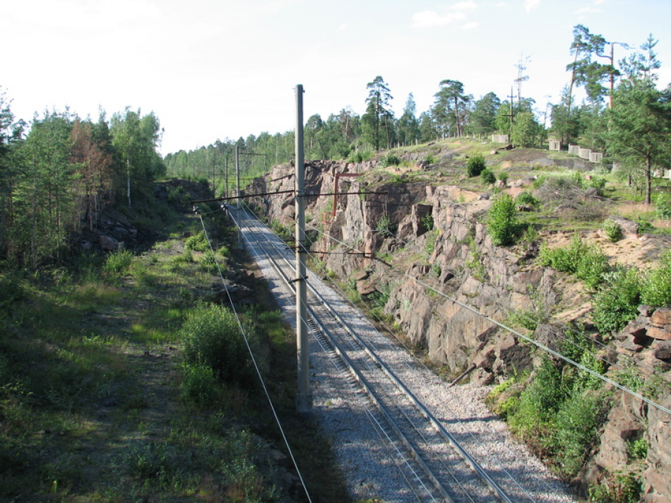 Житель Петербурга погиб на железной дороге в Ленинградской области при попытке перейти пути