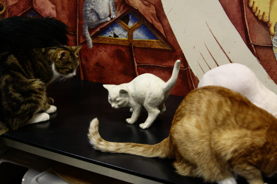 В Петербурге сотрудники мусорной компании спасли семерых котят, выброшенных в контейнер