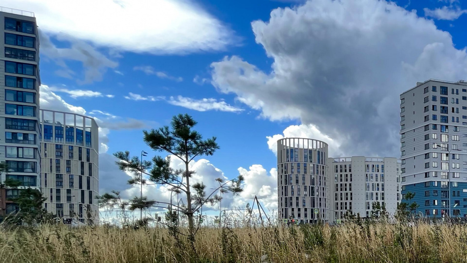 На намывных территориях Васильевского острова появится новая зеленая зона протяженностью более километра