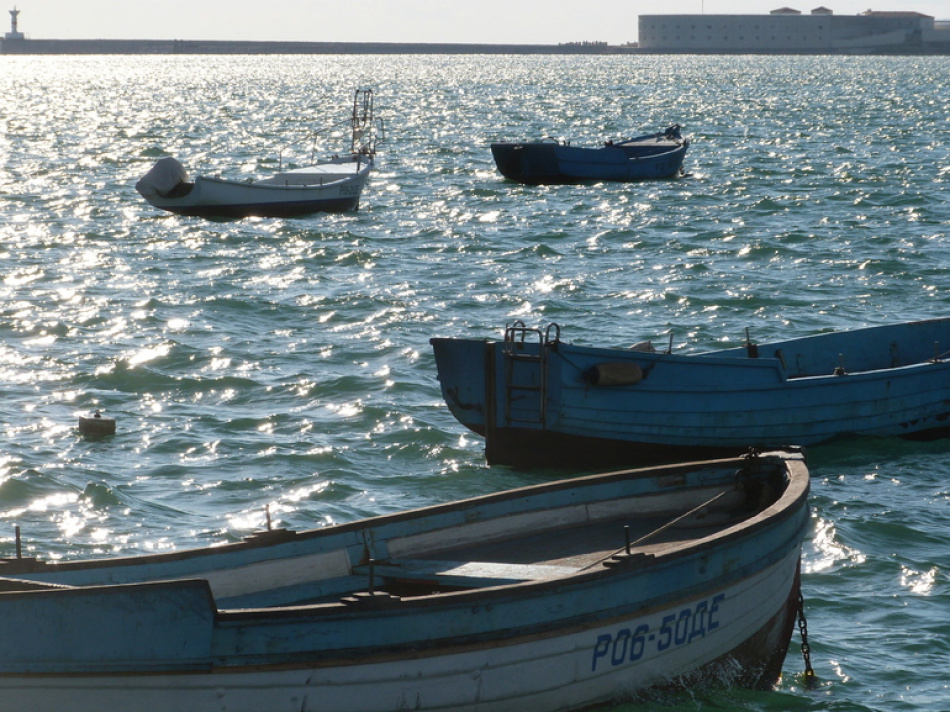 Суд взыскал почти 50 млрд рублей с компаний после разлива мазута в Черном море