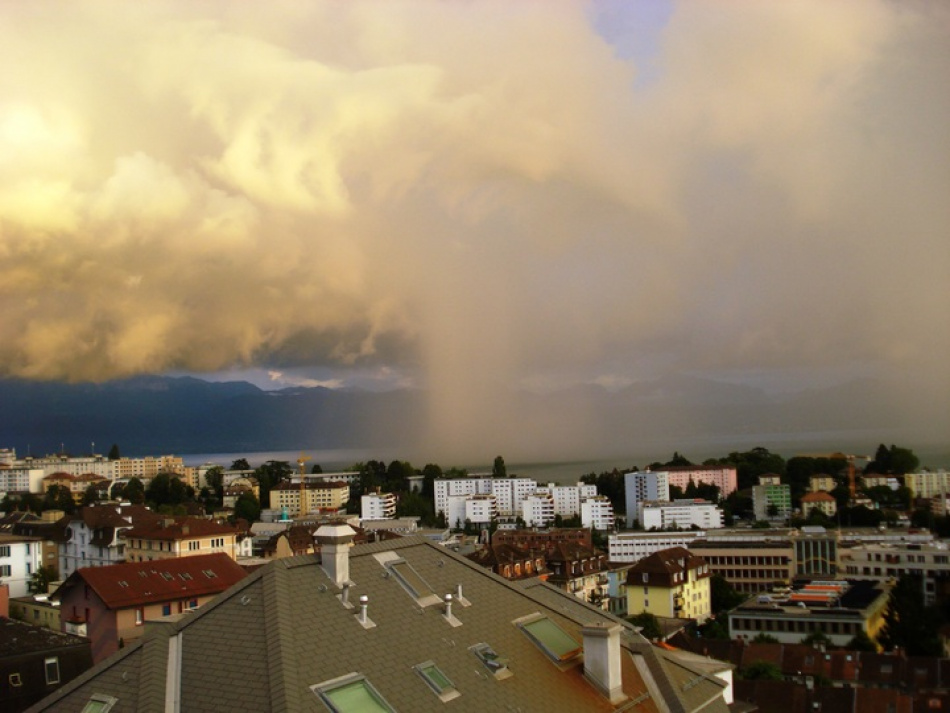 В Ленинградской области вновь зафиксирован смерч: воронка прошла у Соснового Бора