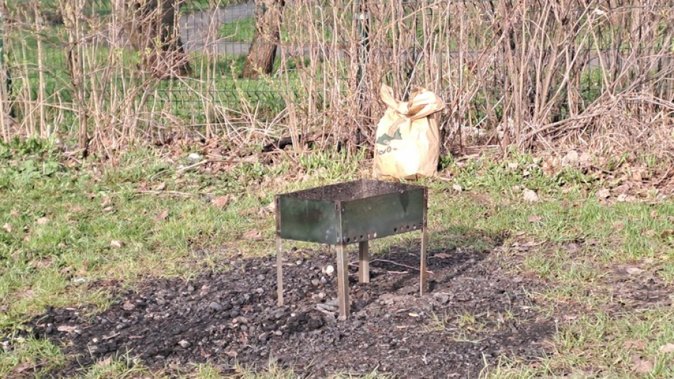 В Петербурге усилили контроль за разведением костров и использованием мангалов в парках