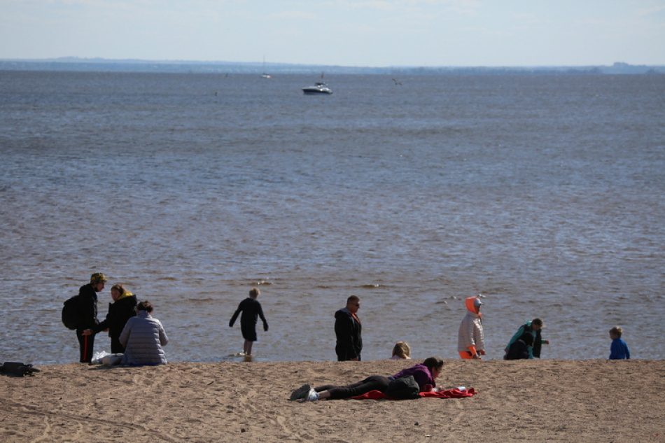 Компания заплатит 900 тысяч рублей за разлив нефтепродуктов в Финском заливе