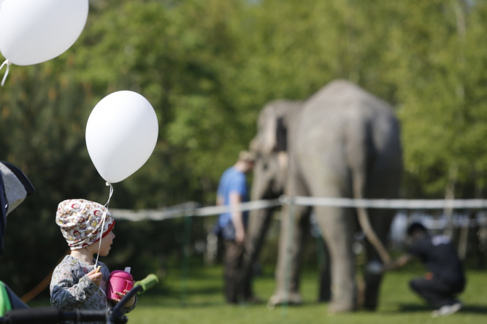 Анастасия Решетова представила новое детское шоу с участием сына Ратмира