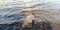 В Выборгском районе Ленобласти найдено тело мужчины в озере Вуокса