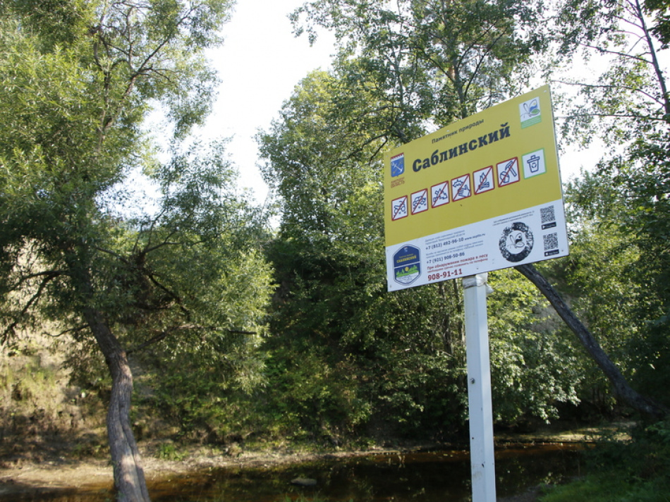 Спасатели Ленобласти за неделю 38 раз выезжали на вызовы