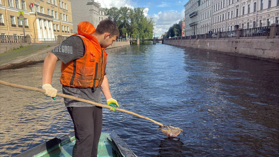 В Петербурге за неделю собрано более 20 тонн опасных отходов от населения