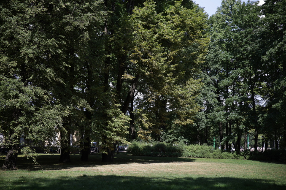 В Петербурге и Ленобласти за неделю зарегистрировали новые случаи укусов клещей