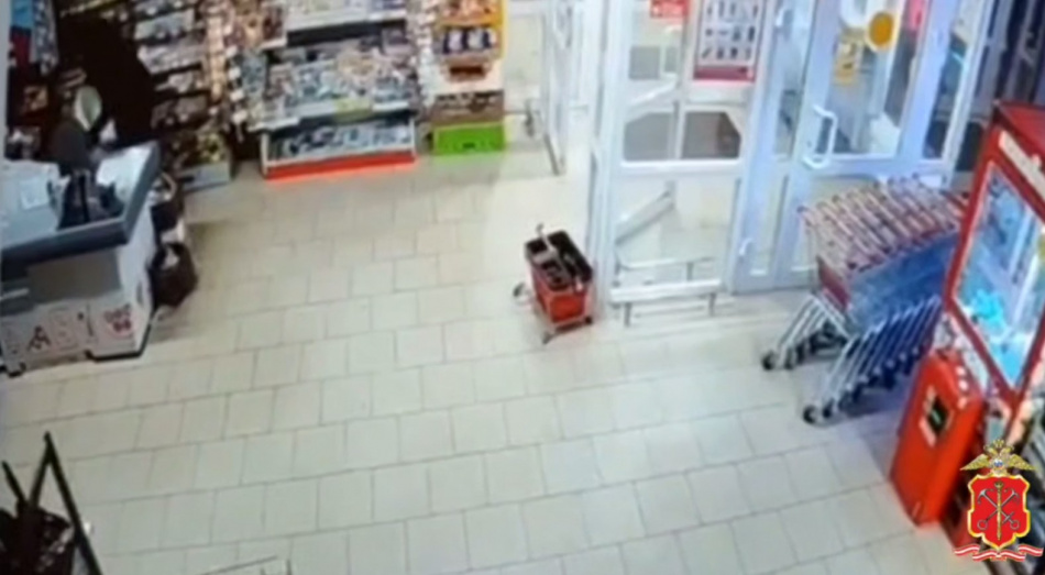 В Гатчинском районе задержаны трое мужчин после кражи из магазина