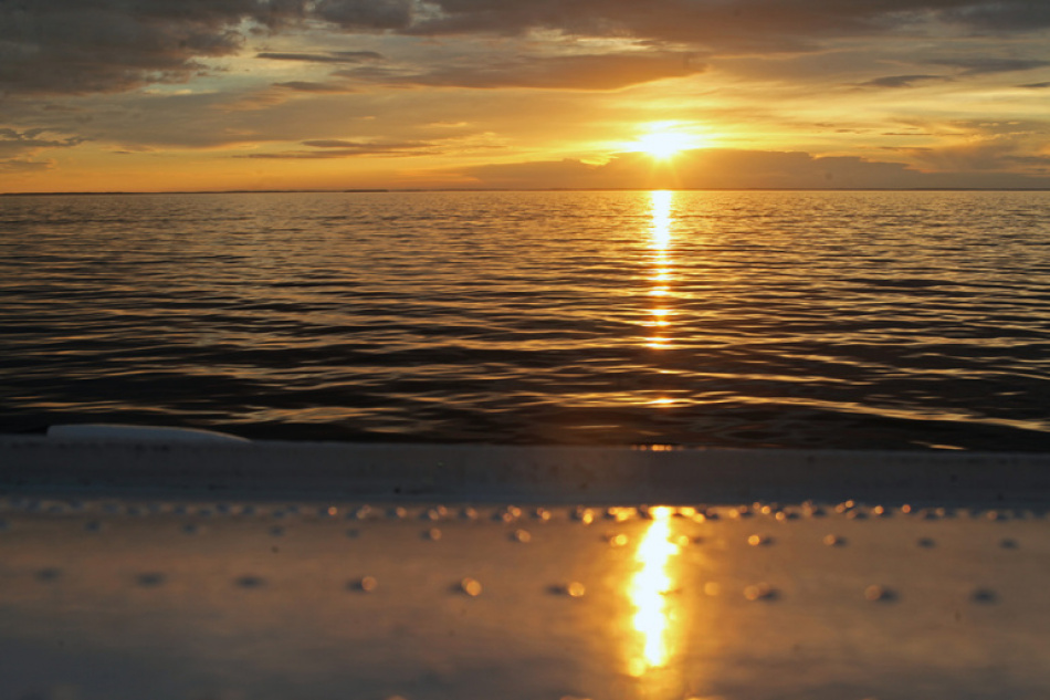 Водолазы Росгвардии продолжают очистку акватории Невы и Финского залива от опасного наследия Великой Отечественной войны в Петербурге