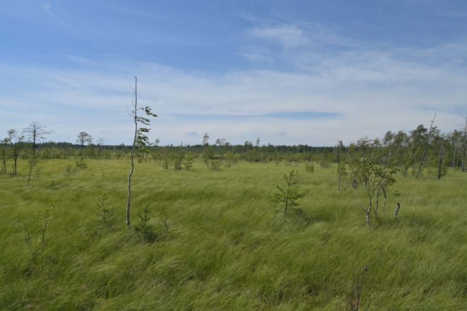 На Сахалине разыскивают группу туристов, пропавших при восхождении на вулкан