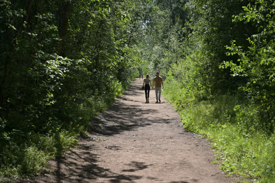 Четверо жителей Петербурга исчезли на Итурупе во время туристического похода