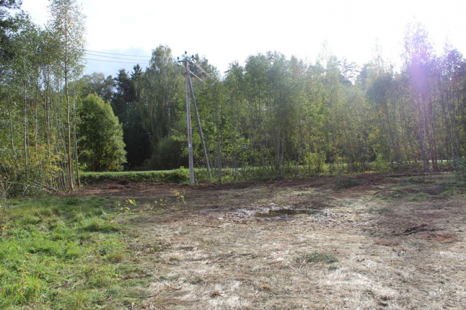 В Кронштадте предъявлено обвинение двум мужчинам по делу об убийстве в лесу