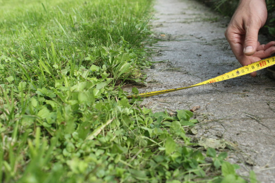 В Петербурге официально определят границы кладбищ с учетом фактических захоронений