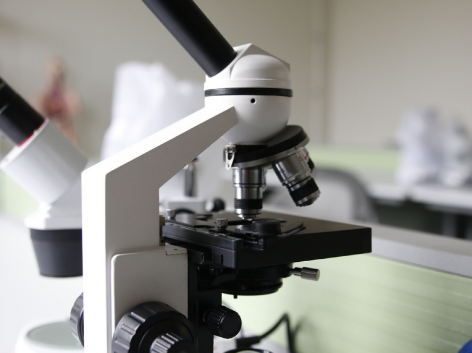 В Петербурге разработали программу для диагностики инфекций с учетом российского микробиома