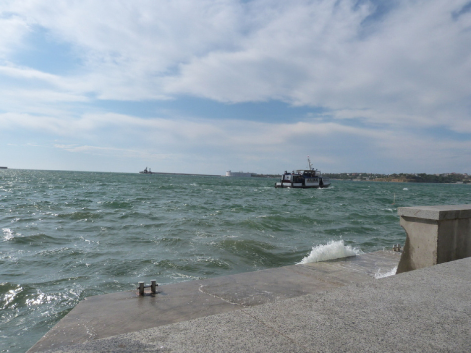 Редкое морское млекопитающее дюгонь вновь замечено в Южно-Китайском море спустя десятилетия