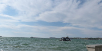 Редкое морское млекопитающее дюгонь вновь замечено в Южно-Китайском море спустя десятилетия