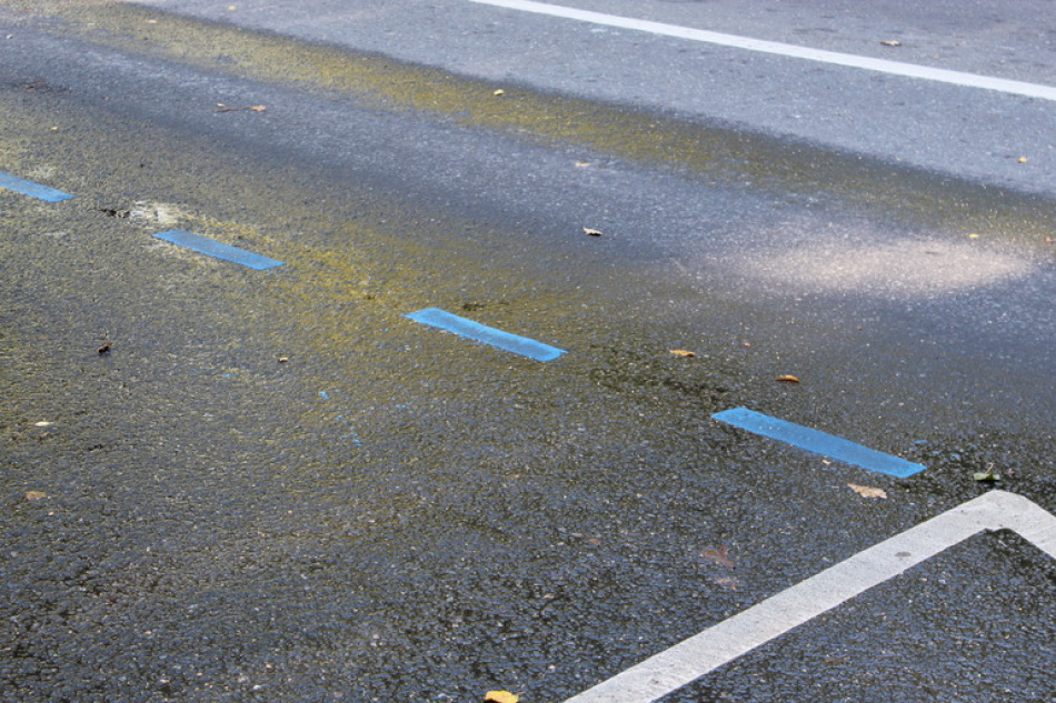 В Петербурге готовят запуск онлайн-сервиса для обжалования штрафов за парковку