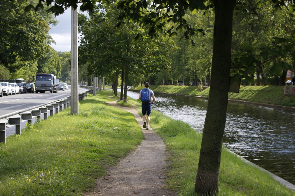 За неделю в Петербурге и Ленобласти зарегистрировали более 750 обращений по поводу укусов клещей