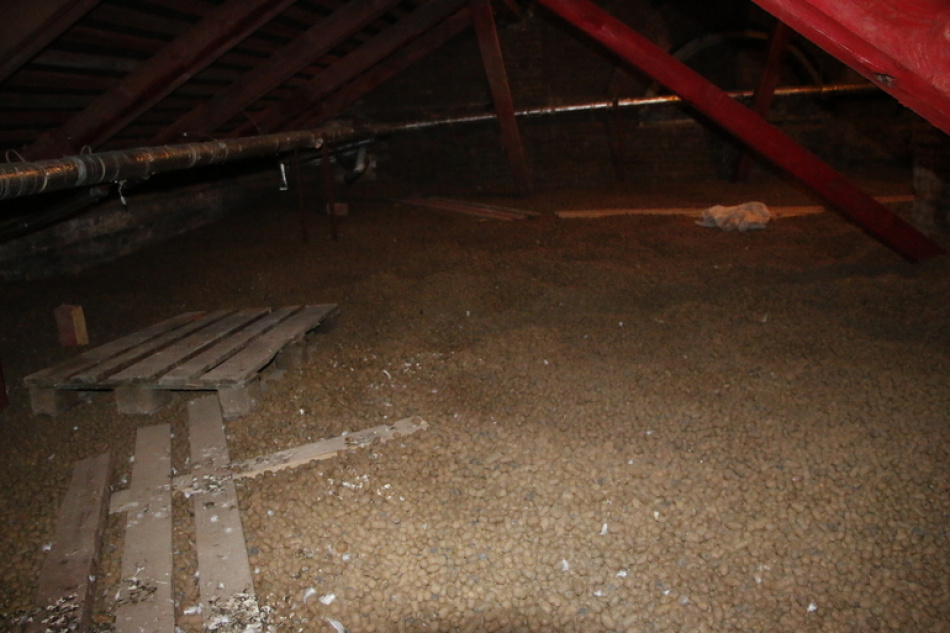 В Ленобласти озбудили уголовное дело о халатности после некачественного ремонта крыши в одной из школ Ломоносовского района