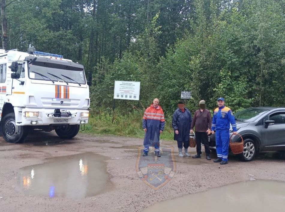 Спасатели и волонтеры вывели из леса под поселком Ромашки заблудившуюся пару