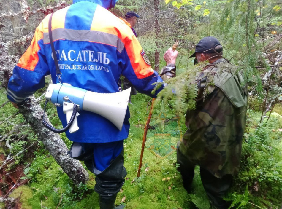 В лесах Ленобласти нашли пенсионера, пропавшего в районе массива Пупышево