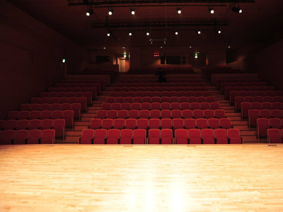 Фото Кастинг Актерская шапка