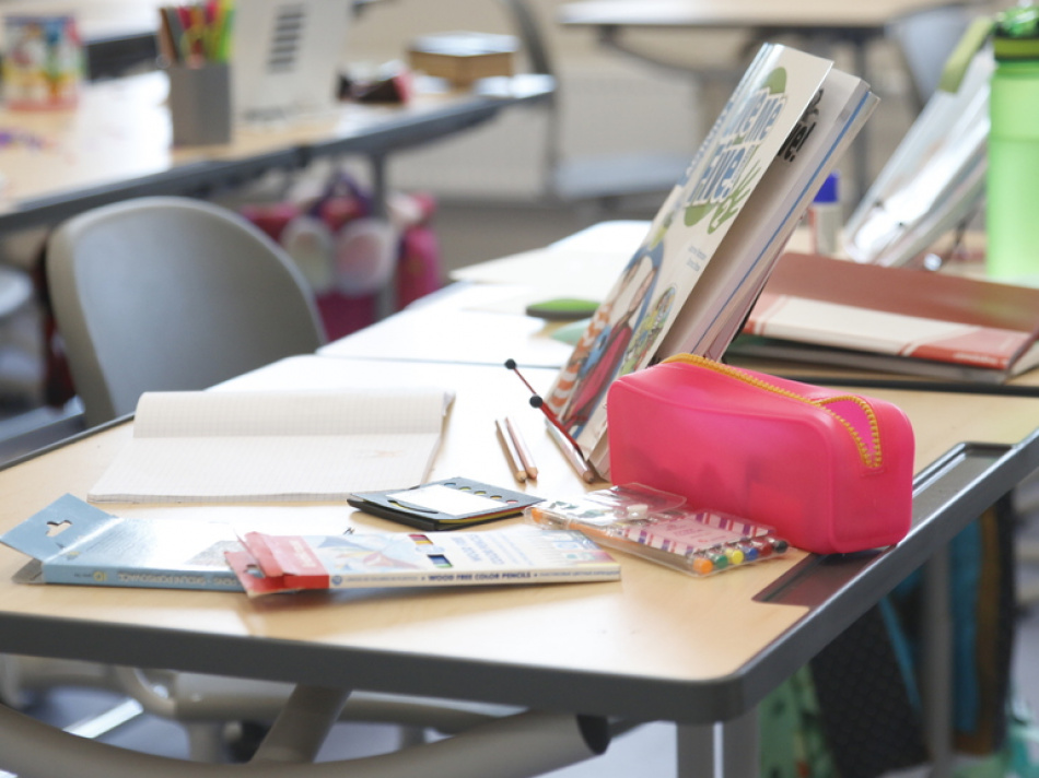 Два школьных проекта из Петербурга отмечены на всероссийском конкурсе инициатив