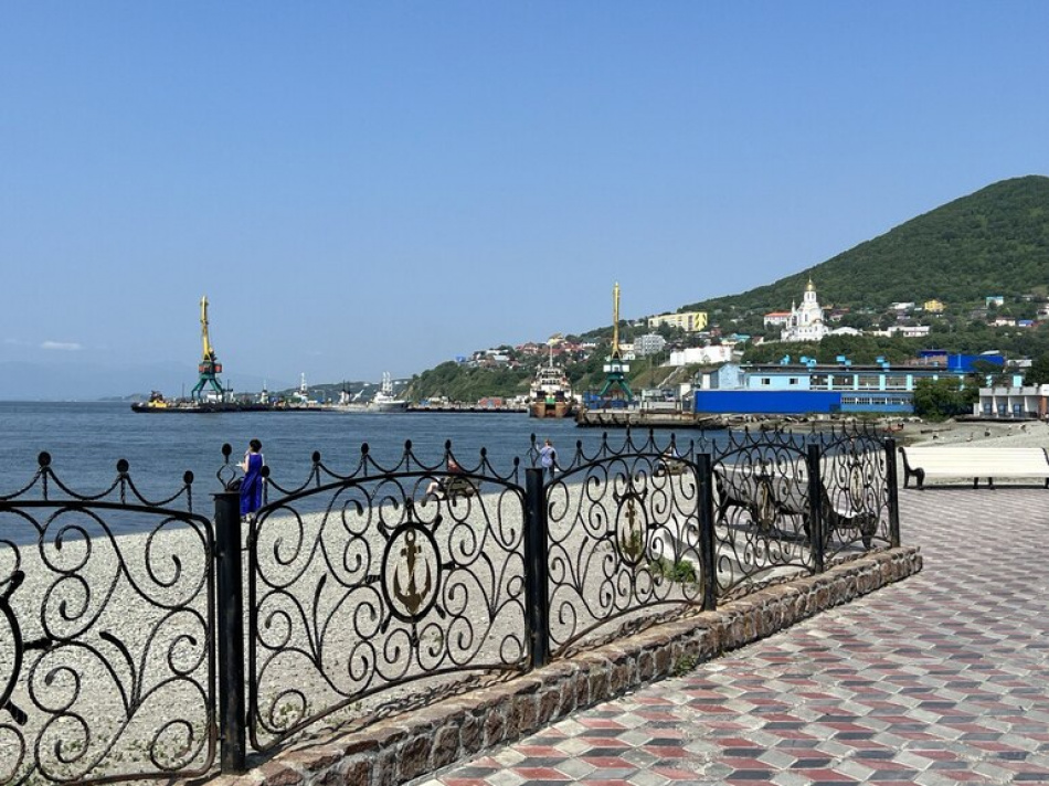 На Камчатке ищут лодку для спасения косатки с пластиковой петлей