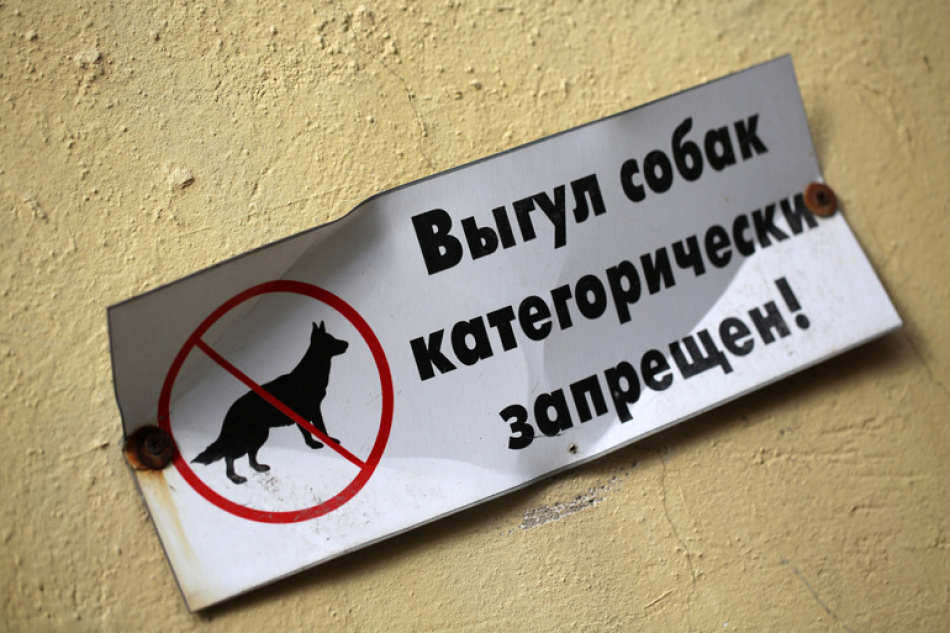 СК начал расследование после нападения собаки на ребенка в Невском районе