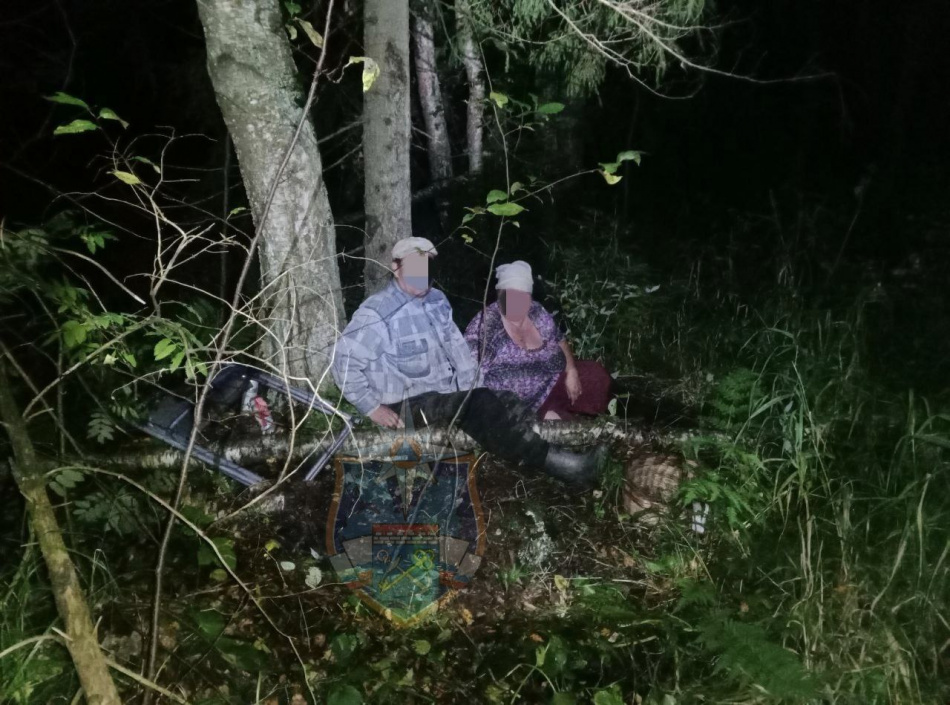 В Кировском районе Ленобласти спасатели нашли заблудившуюся в лесу пару