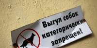 СК начал расследование после нападения собаки на ребенка в Невском районе