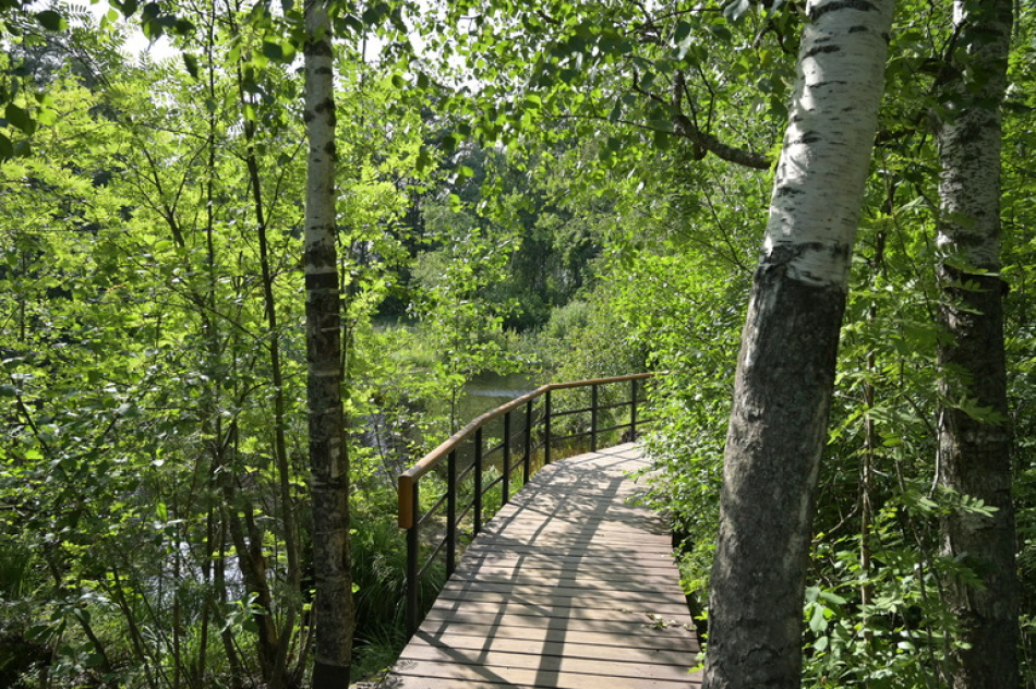 В Новоорловском заказнике появится новая экотропа к осени 2025 года
