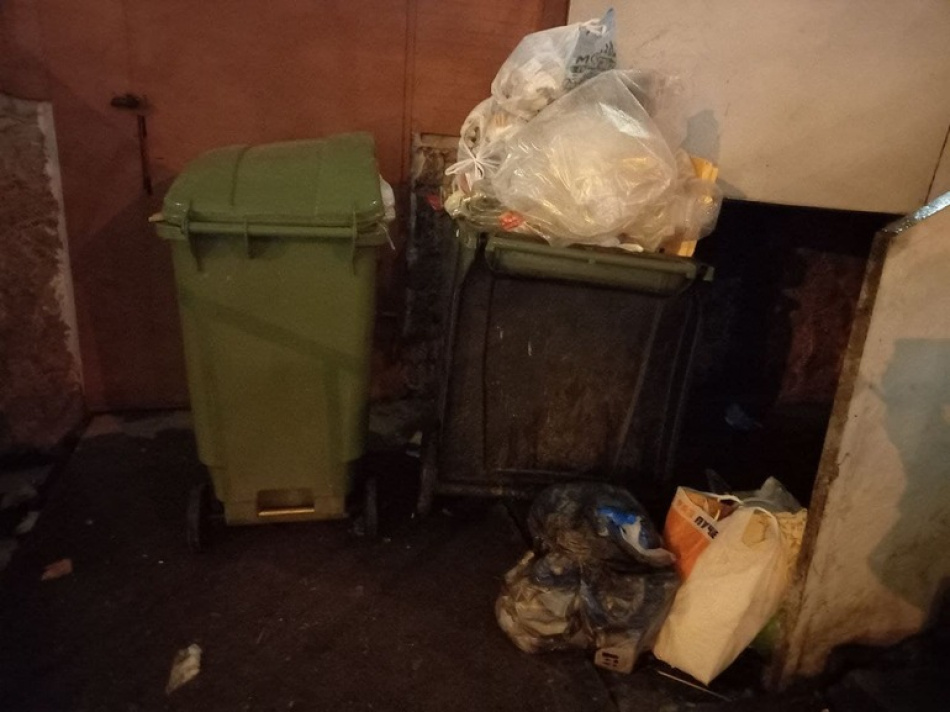 В Петербурге зафиксировали минимальный уровень нарушений парковки у мусорных площадок