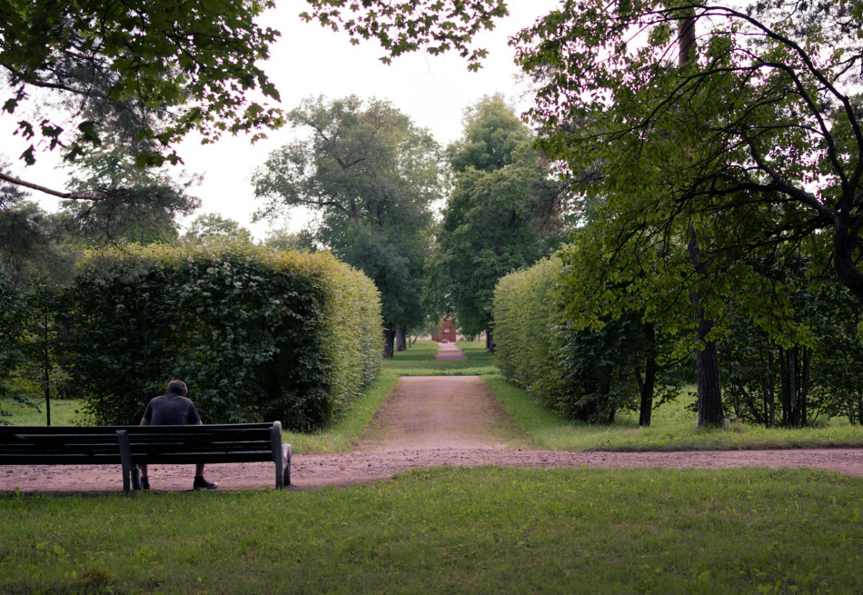 концерты спб