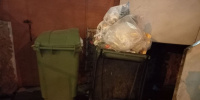 В Петербурге зафиксировали минимальный уровень нарушений парковки у мусорных площадок