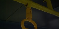 В Петербурге бездомные смогут ездить бесплатно на пригородных автобусах